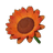Tangerine Sunflower