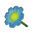 Teal Daisy