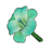 Teal Lily
