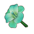 Teal Lily