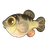 Tiger Puffer