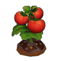 Matured Crop