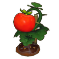 Plump Crop