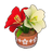 Tricolor Potted Amaryllis