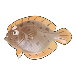 Turbot Icon.png