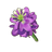Twilight Violet