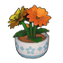 Two-Tone Potted Dahlia