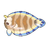 Unicorn Sole