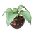 Verdant Black Ceramic Planter