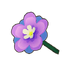 Violet