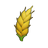 Wheat