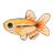 White Cloud Minnow