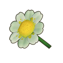White Daisy Icon.png