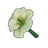 White Lily
