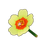 White Moss Rose