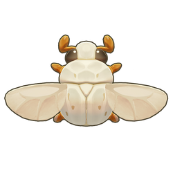 White Scarab Beetle Icon.png