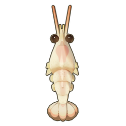 Whiteleg Shrimp Icon.png