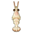 Whiteleg Shrimp