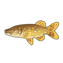 Whitespotted Pike Icon.png