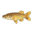 Whitespotted Pike