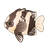 Whitetail Dascyllus