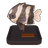 Whitetail Dascyllus Model