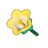 Yellow Bellflower