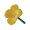 Yellow Canna