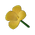 Yellow Canna