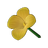 Yellow Canna