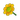 Yellow Daisy