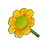 Yellow Daisy