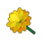 Yellow Dwarf Dahlia