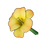 Yellow Lily