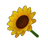 Yellow Sunflower