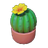 Yellowbloom Potted Cactus