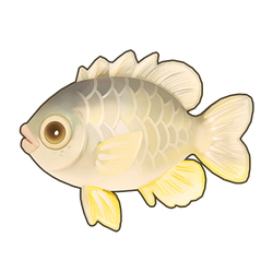 Yellowfin Seabream Icon.png