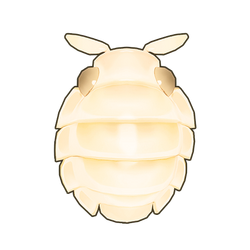 Yeti Isopod Icon.png