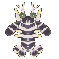 Zebra Mantis Shrimp Icon.png
