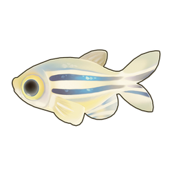 Zebrafish Icon.png